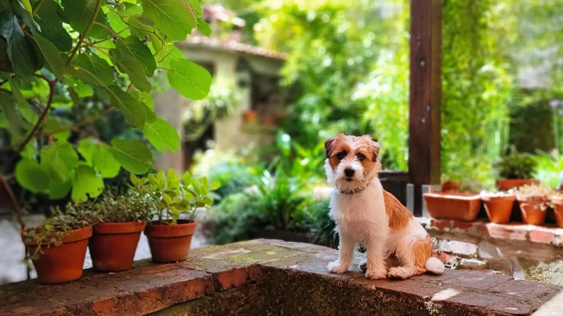Hébergement de vacances Locanda Bellavita Arezzo Italie